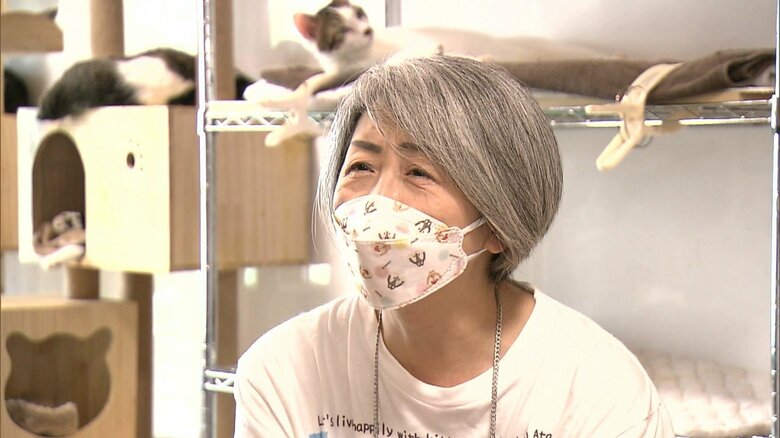 くすのき・那須みか代表