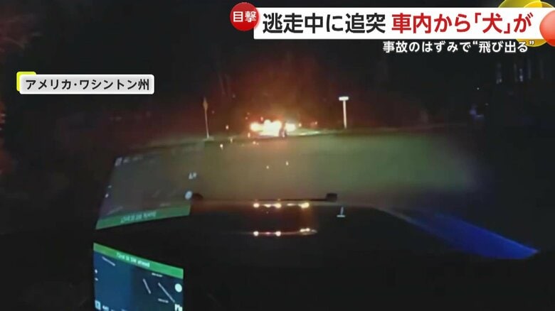 逃走車が衝突し車から犬が投げ出される瞬間（アメリカ・ワシントン州）③