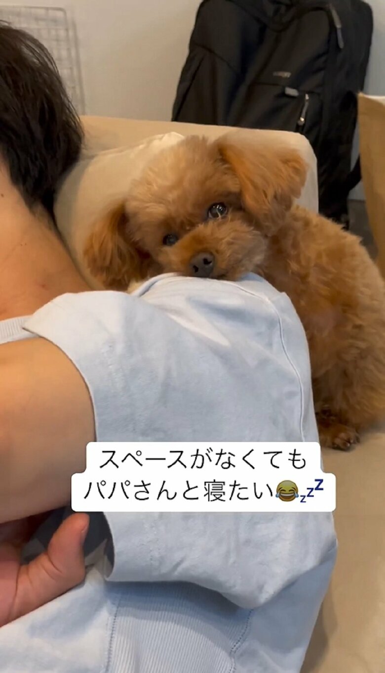 寝違えそうと心配したママさんが声をかけ、起こそうとする