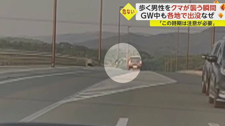 その後、男性は、車道を渡って、反対側に逃げた。