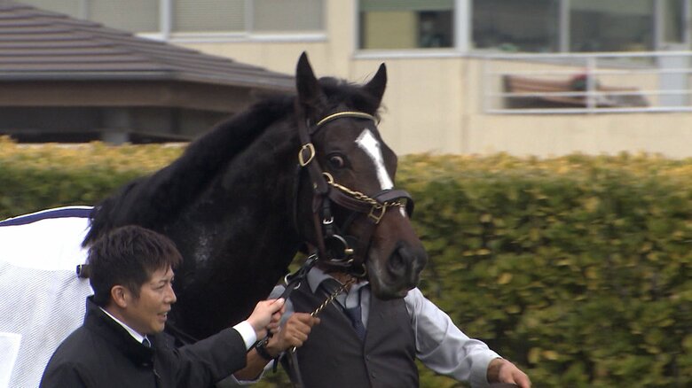 ひいらぎ賞を制したクレパスキュラー