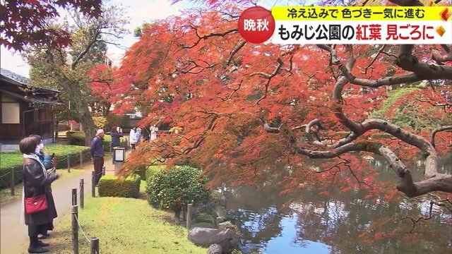 山形市にある紅葉の名所・もみじ公園