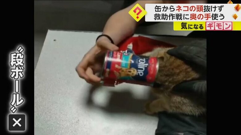 救助のため段ボールの切れ端を缶に差し込む隊員