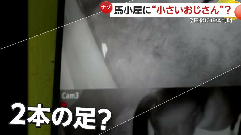 2本の足のようなものをはやした白い姿