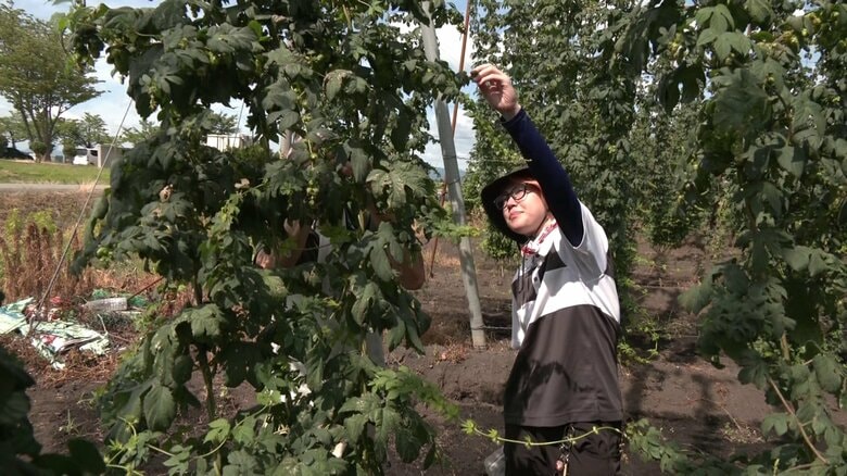 「川上の仕事のほうが自分に向いていると思った」と話す大泉さん