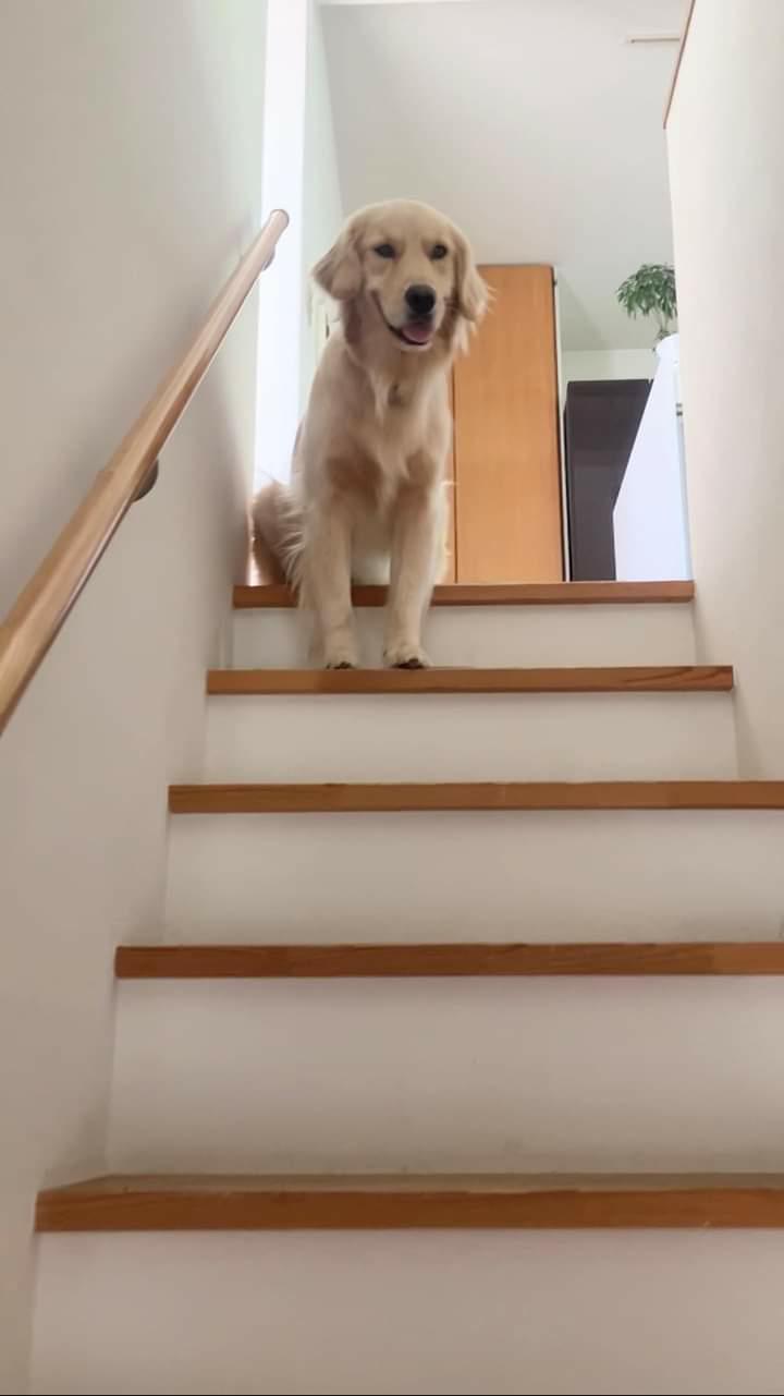 提供：エマさん