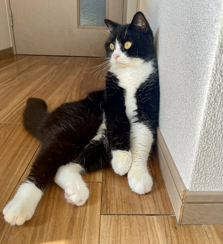 床がひんやりしていて、お気に入りの場所だという