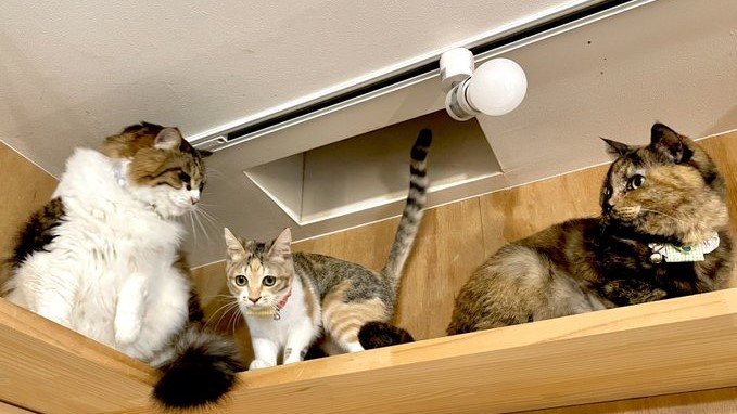 自宅スペースと店内をつなぐ穴