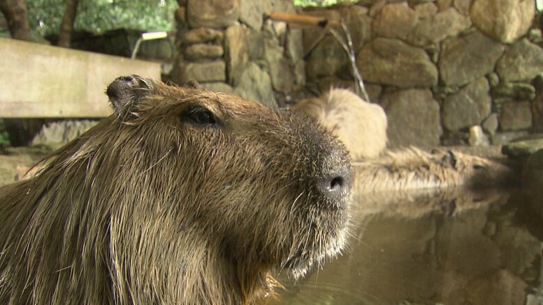 眠くなってくるよ♨