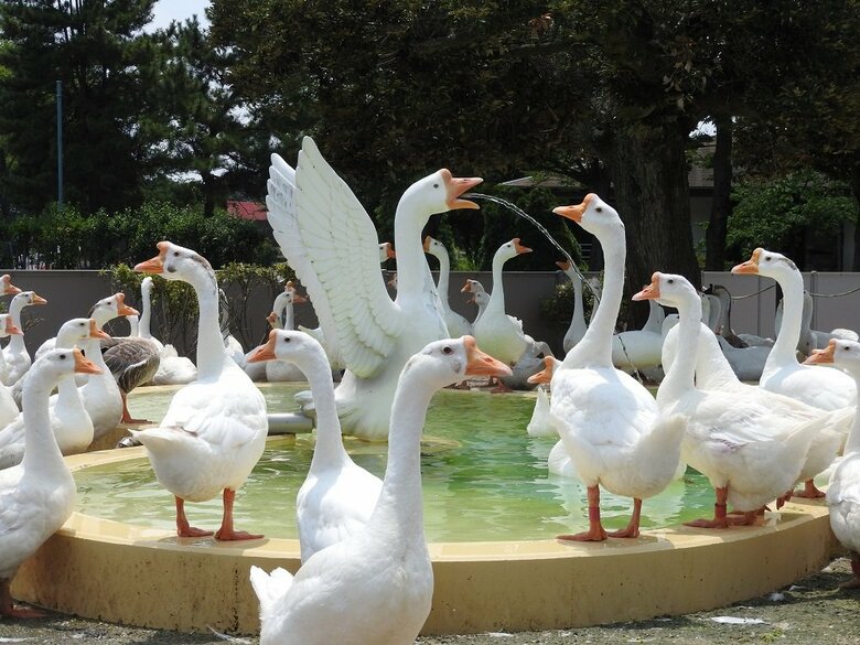 （提供：東武動物公園）
