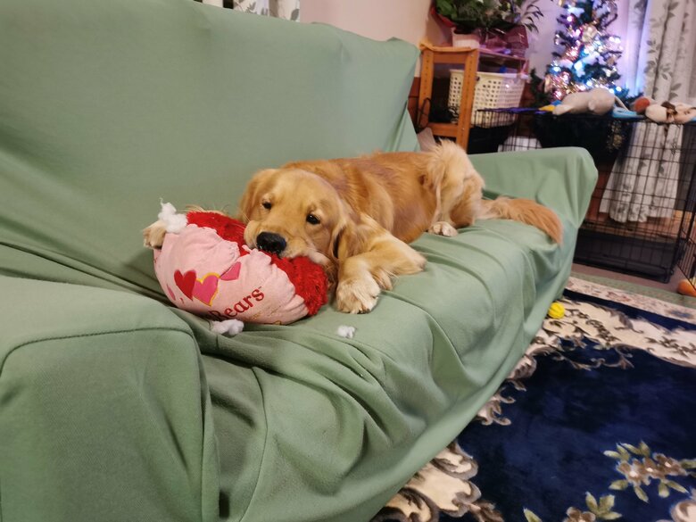 提供：ふぉるてさん