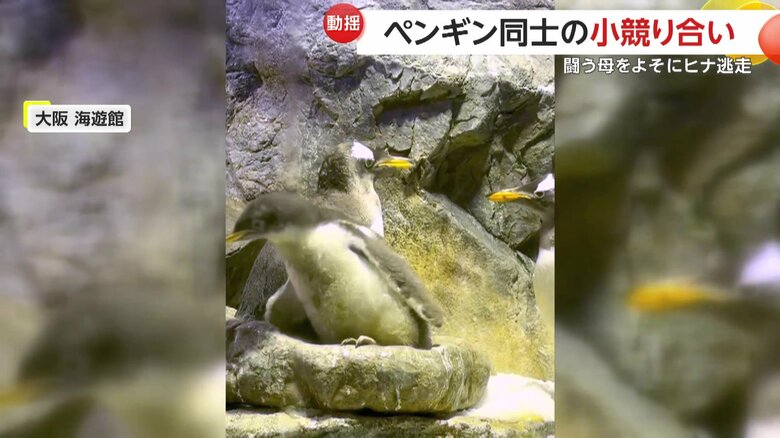 体をよじらせ両者の間から抜け出したヒナ