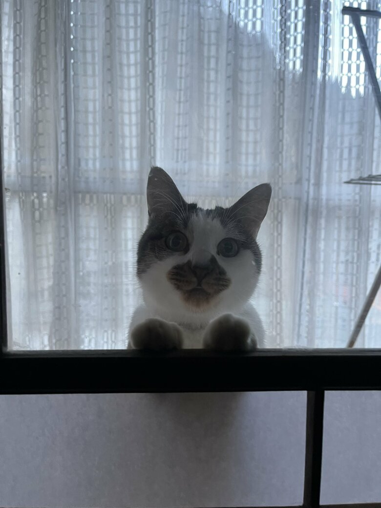 提供：いのうえもんぺさん