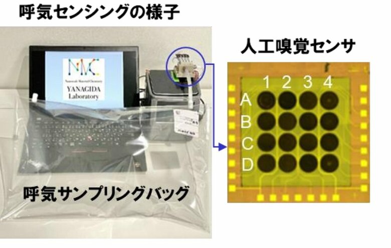 ※実験の様子（画像提供：東京大学　長島一樹准教授）