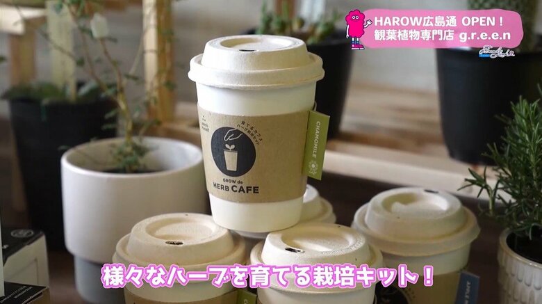 ユニークな卓上栽培キット