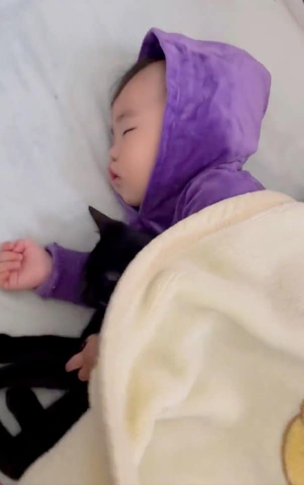 提供：ゴンゾウR4さん