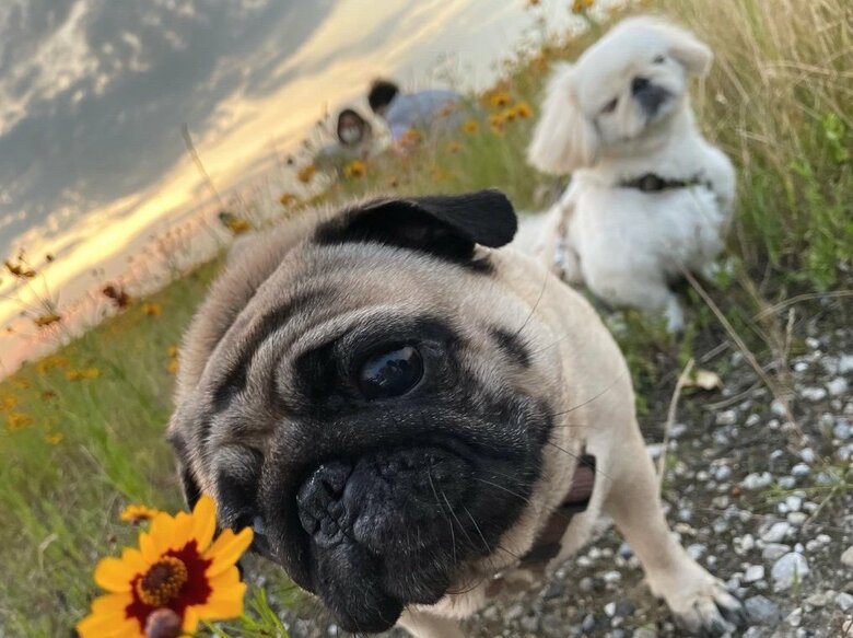 提供：よこむすびさん