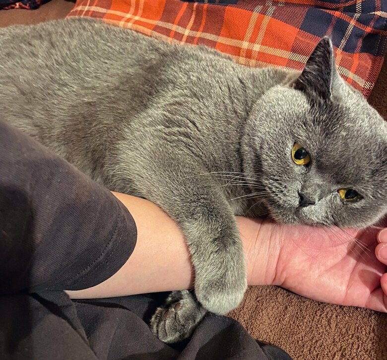 小鳥遊さんの腕をぎゅっとする、甘えん坊なおそばちゃん