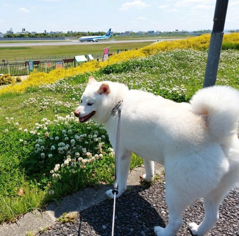 提供： kinako_kinakoさん