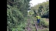 宇和島のＪＲ予土線の線路脇で落石発見　処置のため近永駅～宇和島駅間で一時運転見合わせ【愛媛】