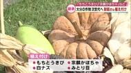 財前直見さんが伝統の作物植え付け「もちとうきび」や「宗麟かぼちゃ」など　大分の食文化を次世代へ