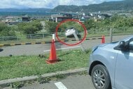 「アクセルとブレーキを踏み間違えた」4メートル下の道路に落下し柵に…「道の駅」駐車場に停めようとした70代ドライバー_腹部や顔の痛みを訴えて病院搬送〈北海道洞爺湖町〉