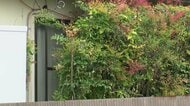 49歳母娘と12歳娘が死亡　逮捕の父親(46)を釈放　有毒物を服用か　2人の殺害ほのめかす　長野・東御市