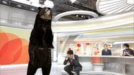クマに襲われ九死に一生…被害者らの共通点は「姿勢を低く」　「余裕なかった」防御姿勢…実践わずか1割でも重傷化防ぐ効果