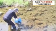 「天然アユ１７、１８年ぶりの遡上量」地元漁協も驚き　気仙沼・大川で稚魚放流＜宮城＞