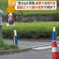 茶畑内に無断立ち入り、落書きやポイ捨ても　絶景スポットの茶園で観光客の迷惑行為　地元住民「ごみがぶん投げてある」