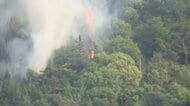 【速報】広島で山林火災　廃材を燃やしていた火が広がったか　消防車10台以上で消火活動続く　現時点でけが人情報なし