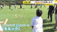 フィンランド発祥「モルック」　北九州市で大会　小学生から80代まで約100人参加　「世代を超えて一緒に楽しめる」　福岡