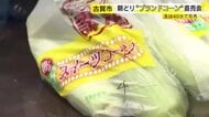 28日限定で一般販売「朝どりこがスイーツコーン」　メロンに匹敵する平均糖度18度以上　生はわずか40分で完売　福岡・古賀市