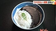 ウナギの兜入り！？若狭町の老舗ウナギ店が“もったいない精神”でカレーを開発　土産品としても期待【福井】