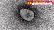 旭川市と函館市で新たに「オミクロン株」確認…