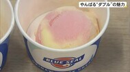 やんばる”ダブル”’の魅力 新アイスクリーム