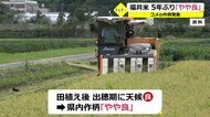 2021年は5年ぶりに「やや良」 福井県内コメの作柄