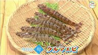 【瀬戸内旬紀行】祝いの席で定番！地元で味わえる高級食材「クルマエビ」を踊り食い！そのお味は？【岡山・香川発】