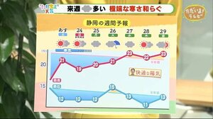 来週は肌寒さ和らぐ 山間部では紅葉進みそう【ただいま天気 10/22】