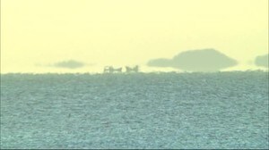 冬の風物詩「浮島」現れる 岩国市沖・瀬戸内海