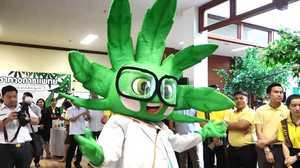「医療大麻」解禁のタイでクリニックに患者殺到 ゆるキャラまで登場させる政府全面推しの思惑