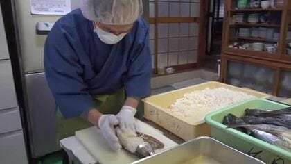 「ぐっと冷え込むとおいしさ増す」　まろやかな酸味と甘み「鯖のなれずし」仕込みが小浜で最盛期