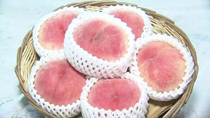 糖度１３度以上 実が大きく食味良好な福島県産モモ「あかつき」の試食会が仙台市中央卸売市場で開催