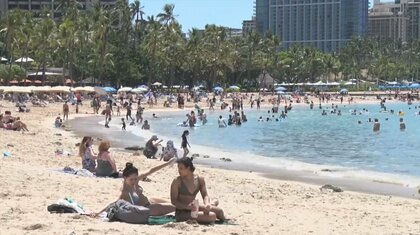 GW“制限なし”ハワイ！“空飛ぶウミガメ”3年ぶり毎日運航で9割まで回復　日本人戻り始めるも「まだ少ない」今後に期待