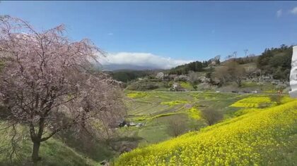 美しい原風景を「つなぐ棚田遺産」・西谷棚田で魅力発信　菜の花に彩られ＜福島県・二本松市＞