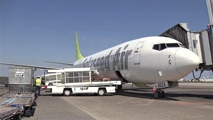 宮崎の採れたて食材をその日のうちに首都圏へ　空路も陸路もお任せ…ソラシドエアの新事業スタート