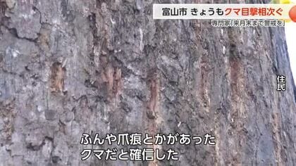 富山県内は28日もクマの目撃相次ぐ　今月は被害相次いだ一昨年上回る　立山博物館「まんだら遊苑」も休苑