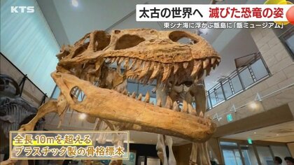 Dr.コトーの島は「恐竜の島」でもあった！　化石など貴重な資料が満載！鹿児島・甑島に「甑ミュージアム」オープン　