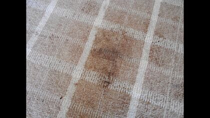 【突然―自宅にヒグマ】「声は出さないようにした」洗濯中の81歳女性が当時の状況を語る―室内にはクッキリ残る足跡_公営住宅に体長約1.2メートルのクマがガラスを割って侵入〈北海道三笠市〉