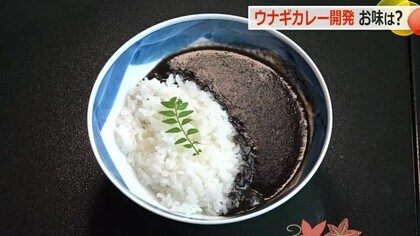 ウナギの兜入り！？若狭町の老舗ウナギ店が“もったいない精神”でカレーを開発　土産品としても期待【福井】